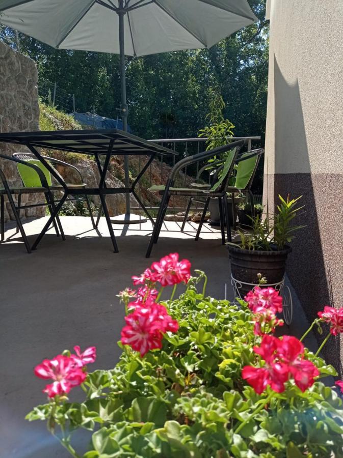 מטולי Apartment Zlatko מראה חיצוני תמונה
